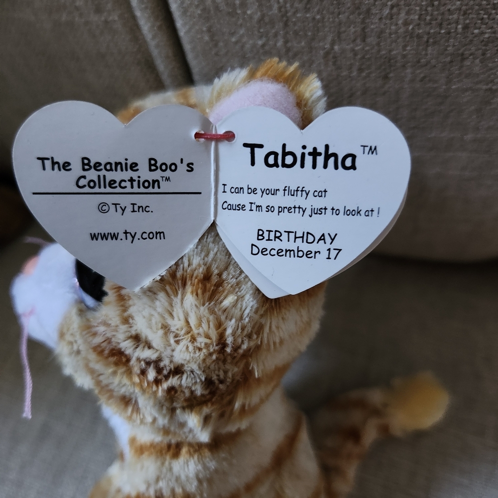 2 Beanie Boos!  Wise the Owl & Tabotha the Kitty - Picture 6 of 6